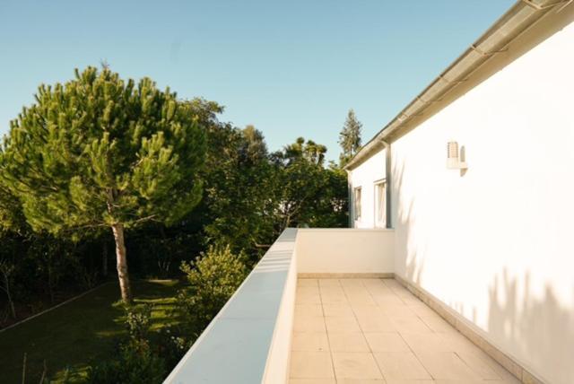 Edles Apartment In Architektenvilla Mit Grossem Pool, Sauna, Dachterrasse Und Malerischem Garten Pataias Extérieur photo