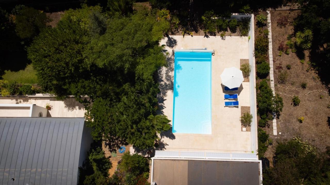 Edles Apartment In Architektenvilla Mit Grossem Pool, Sauna, Dachterrasse Und Malerischem Garten Pataias Extérieur photo